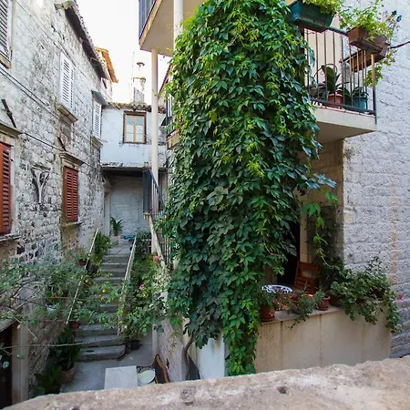 Toma Trogir